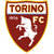 Torino Team Logo