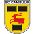 SC Cambuur Team Logo